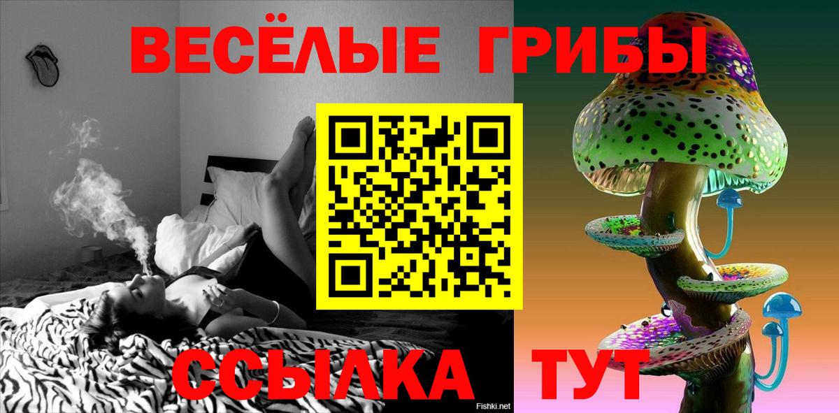 Галлюциногенные грибы Psilocybe Сургут