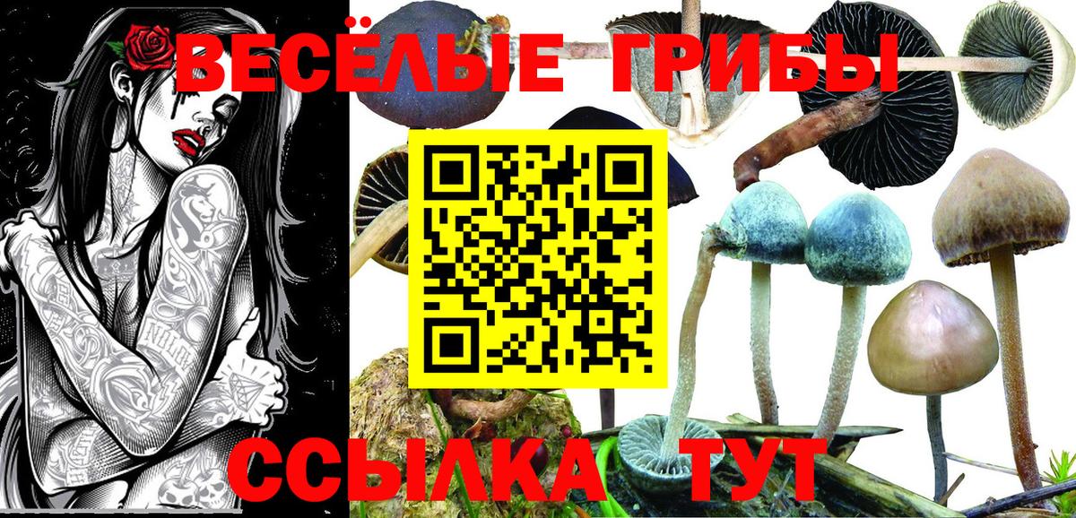 Псилоцибиновые грибы мицелий  Галлюциногенные грибы Psilocybine cubensis  Сургут  Вход с VPN 